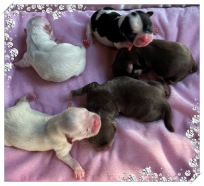 �`�����q��