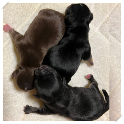 �`�����q��