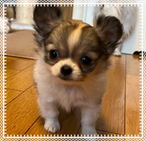 �`�����q��