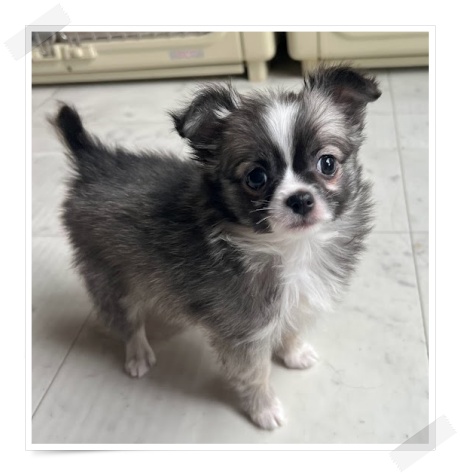 �`�����q��