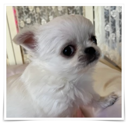 �`�����q��