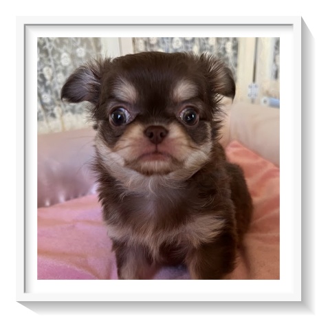 �`�����q��