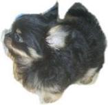 �C�}�[�W��