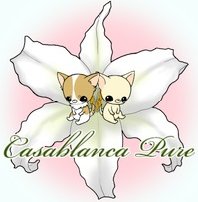 �`������匢��