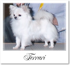 �t�F���[��